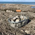 Maison De Pêcheurs à 50 Mètres De La Piriac-sur-Mer